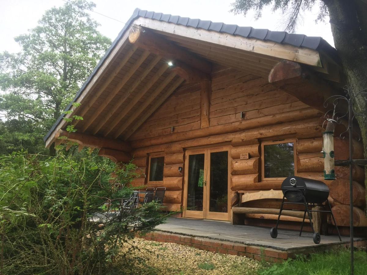 Ewes Water Log Cabins Langholm Dış mekan fotoğraf